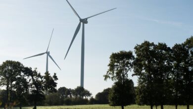 “Hay que saber tener paciencia”… Invertir en energía eólica comunitaria, ¿es interesante económicamente? “Hay que saber tener paciencia”… Invertir en energía eólica comunitaria, ¿es interesante económicamente?